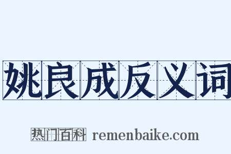 姚良成反义词是什么意思的图片